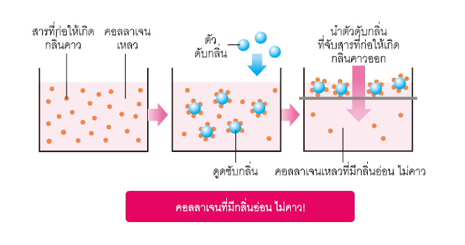 กรรมวิธีการผลิตที่เป็นเอกสิทธิ์เฉพาะ ที่รับรองว่า นำไปผสมกับอาหารและเครื่องดื่มได้ง่ายทุกชนิด