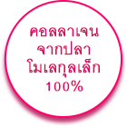 คอลลาเจน จากปลา โมเลกุลเล็ก 100%