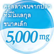 คอลลาเจนจากปลา ที่มีโมเลกุล ขนาดเล็ก 5,000 mg