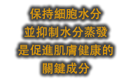 保持細胞水分並 抑制水分蒸發 促進肌膚健康，關鍵部位的皮膚