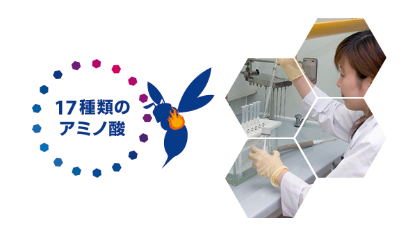 17種類のアミノ酸:イメージ