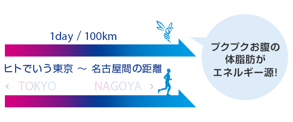 01.きっかけはスズメバチの生態研究:イメージ