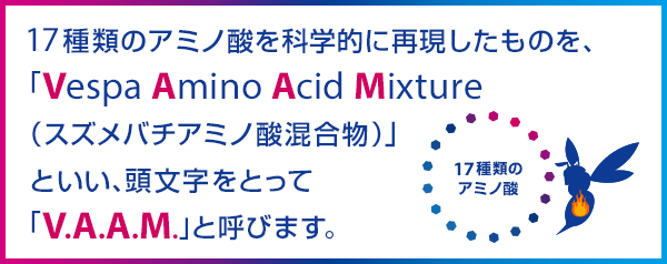 17種類のアミノ酸を科学的に再現したものを、「Vespa Amino Acid Mixture（スズメバチアミノ酸混合物）」といい、頭文字をとって「V.A.A.M.」と呼びます。