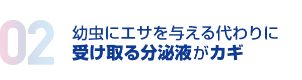 02.幼虫にエサを与える代わりに受け取る分泌液がカギ