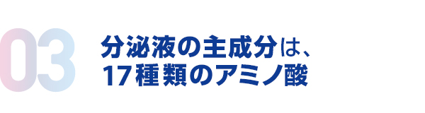 03.分泌液の主成分は、17種類のアミノ酸