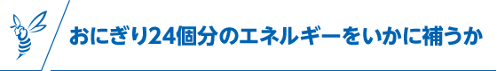 おにぎり24個分のエネルギーをいかに補うか