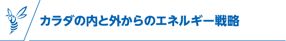 カラダの内と外からのエネルギー戦略