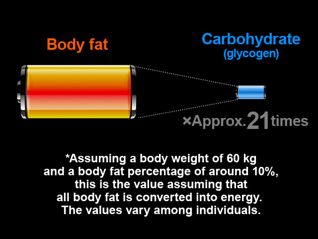 Body fat Carbohydrate (glycogen) × Approx. 21 times *Assuming a body weight of 60 kg and a body fat percentage of around 10%, this is the value assuming that all body fat is converted into energy. The value varies among individuals.