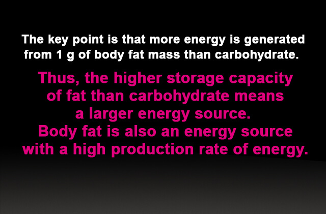 The key point is that more energy is generated from 1 g of body fat mass than carbohydrate. Thus, the higher storage capacity of fat than carbohydrate means a larger energy source. Body fat is also an energy source with a high production rate of energy.