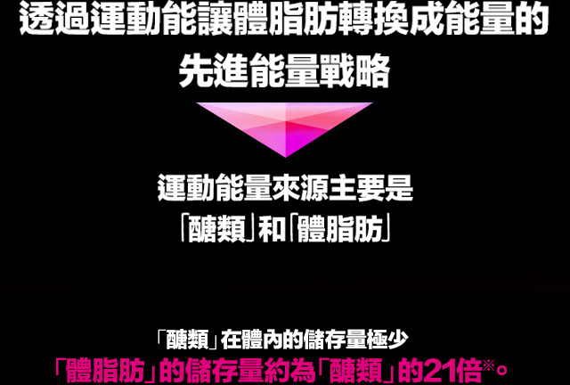 運動能量來源主要是「?類」和「體脂肪」「?類」在體?的儲存量極少           「體脂肪」的儲存量約為「?類」的21倍※。