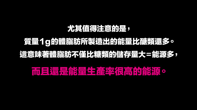尤其?得注意的是，質量１ｇ的體脂肪所製造出的能量比?類還多。這意味著體脂肪不僅比糖類的儲存量大＝能源多，而且還是能量生?率很高的能源。