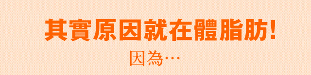 其實原因就在體脂肪! 因為…