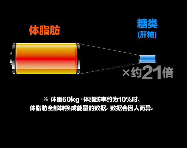 体脂肪糖?(肝糖)※ 体重60kg?体脂肪率??10％?、体脂肪全部??成能量的?据。?据?因人而?。