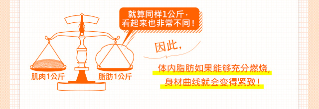 肌肉1公斤 脂肪1公斤 就算同?1公斤，看起来也非常不同！ 因此，体内脂肪如果能?充分燃?,身材曲?就会?得?致！