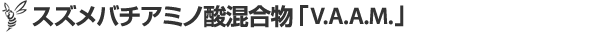 スズメバチアミノ酸混合物「V.A.A.M.」