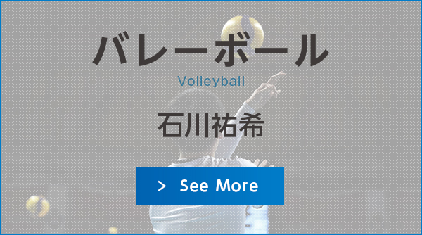 バレーボール 全日本女子/男子バレーボールチーム