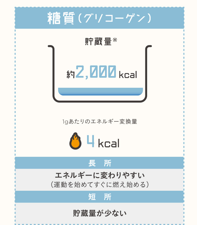 糖質（グリコーゲン）貯蔵量約2,000kcal 1gあたりのエネルギー変換量4kcal 長所:エネルギーに変わりやすい（運動を始めてすぐに燃え始める）短所:貯蔵量が少ない