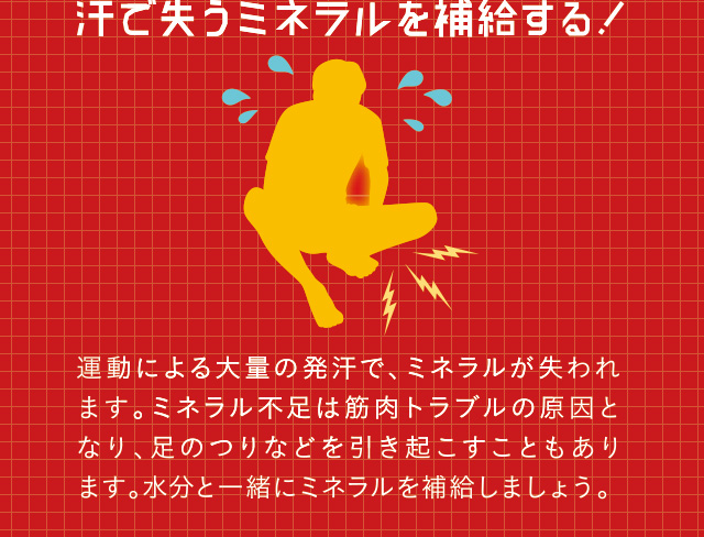 汗で失うミネラルを補給する！　運動による大量の発汗で、ミネラルが失われます。ミネラル不足は筋肉トラブルの原因となり、足のつりなどを引き起こすこともあります。水分と一緒にミネラルを補給しましょう。