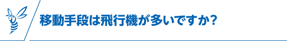 移動手段は飛行機が多いですか？