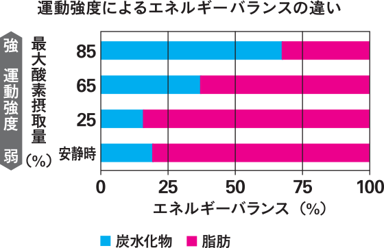 運動強度によるエネルギーバランスの違い