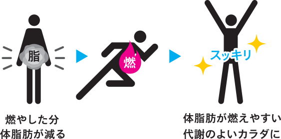 燃やした分体脂肪が減る 体脂肪が燃えやすい代謝のよいカラダに。