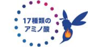 17種類のアミノ酸