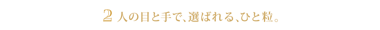 2.人の目と手で、選ばれる、ひと粒。