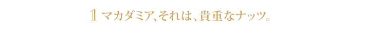 1.マカダミア、それは、貴重なナッツ。