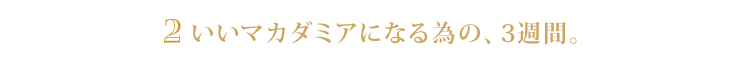 2.いいマカダミアになる為の、3週間。