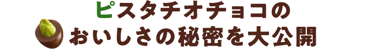 ピスタチオチョコのおいしさの秘密を大公開