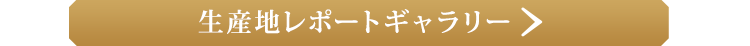 生産地レポートギャラリー