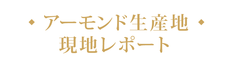 アーモンド生産地現地レポート