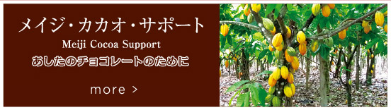 メイジ・カカオ・サポート あしたのチョコレートのために
