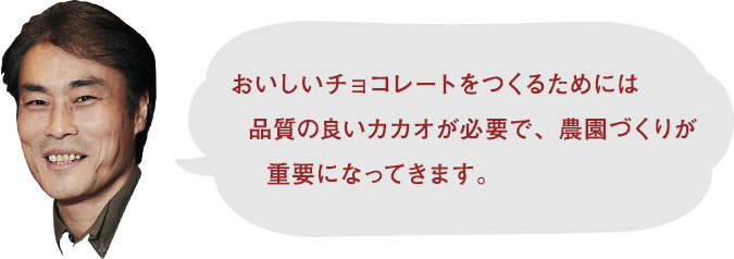 おいしいチョコレートをつくるためには品質の良いカカオが必要で、農園づくりが重要になってきます。