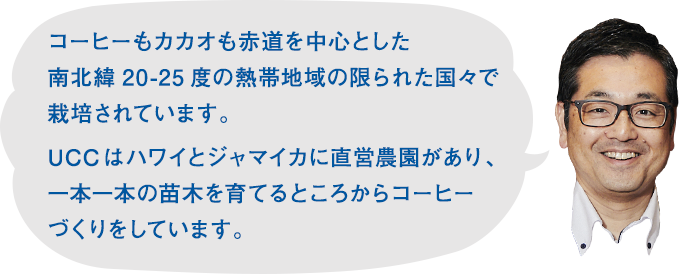 コーヒーもカカオも赤道を中心とした南北緯20-25度の熱帯地域の限られた国々で栽培されています。UCCはハワイとジャマイカに直営農園があり、一本一本の苗木を育てるところからコーヒーづくりをしています。