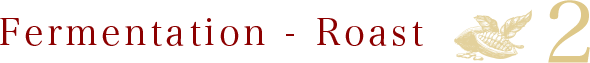 Fermentation - Roast