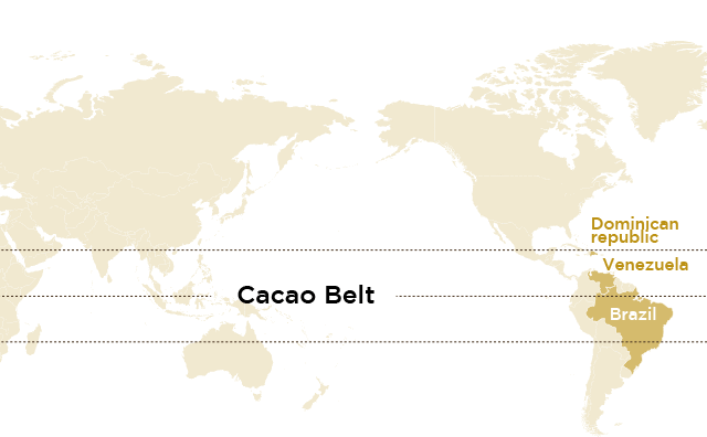 cacao belt