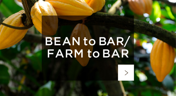 BEAN to BAR / FARM to BAR