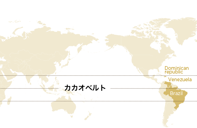 カカオベルト