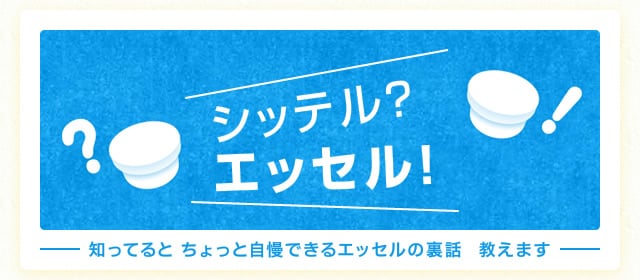 シッテル？エッセル！　知ってると ちょっと自慢できるエッセルの裏話　教えます