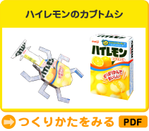 ハイレモンのカブトムシ