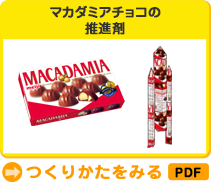 マカダミアチョコの推進剤