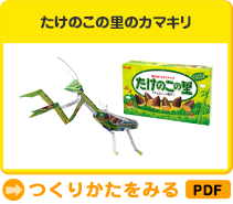 たけのこの里のカマキリ