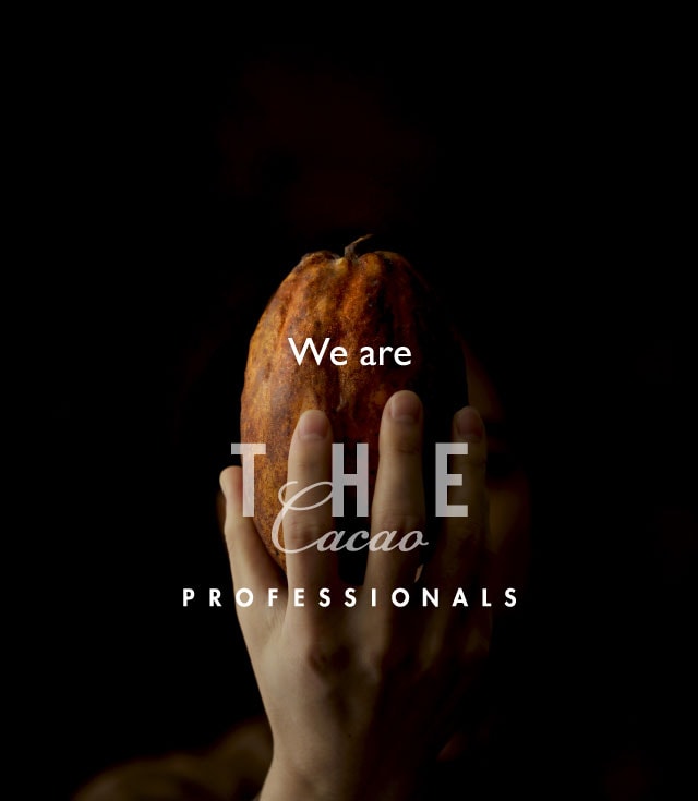 THE Cacao PROFESSIONALS