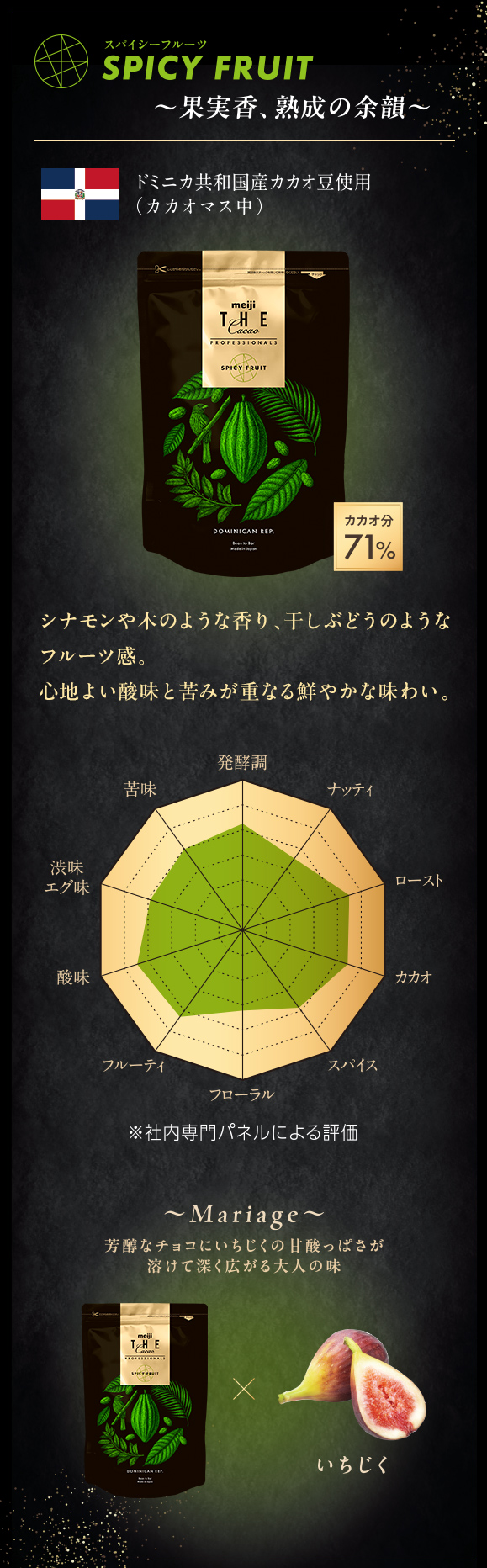 THE Cacao PROFESSIONALS スパイシーフルーツ