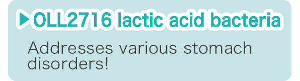 OLL2716 lactic acid bacteria 