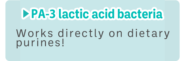 PA-3 lactic acid bacteria 