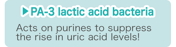 PA-3 lactic acid bacteria 