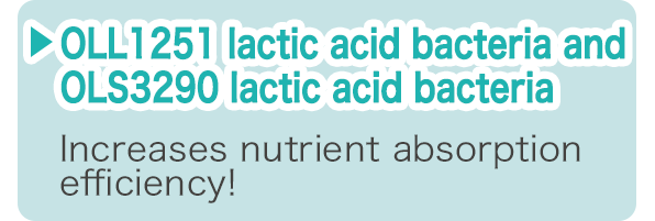OLL1251 lactic acid bacteria and OLS3290 lactic acid bacteria