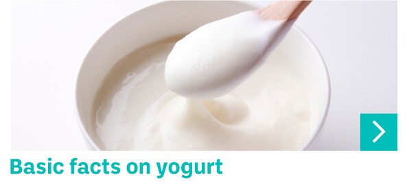 Basic facts on yogurt